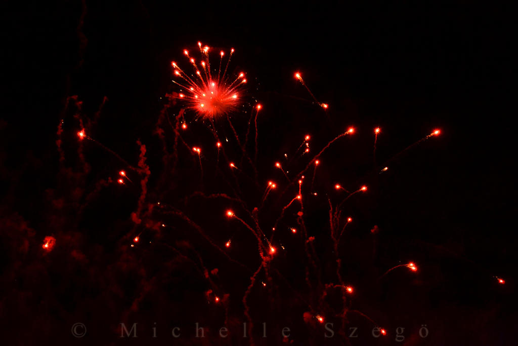 Firework - Parklichter 2013.2