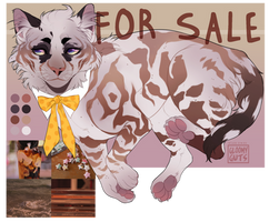 ( FLASH AUCTION ) White Russian Adoptable - Closed