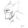Wolverine Head Sketch