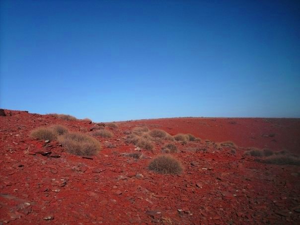 Aussie outback