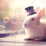 White Rabbit In Mad Hatter Hat