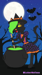 Black cat witches