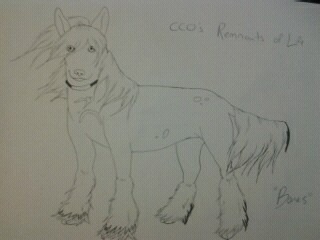 CCO's Remnants of Life (Sketch)