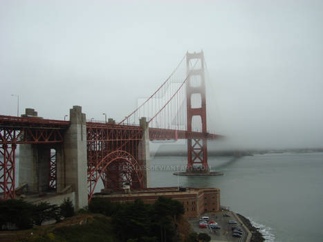 Golden Gate Fog.