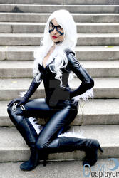 Carol-BlackCat-6