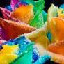 Happy Roses Rainbow Glitter