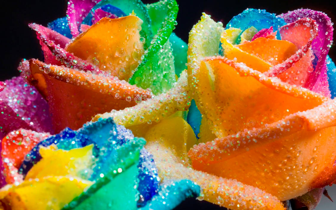 Happy Roses Rainbow Glitter by RAINBOWedROSES on DeviantArt