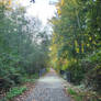 Kulshan Trail