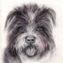 Fluffy