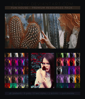 Fun House - Premium Resources Pack