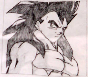 SS4 Vegeta