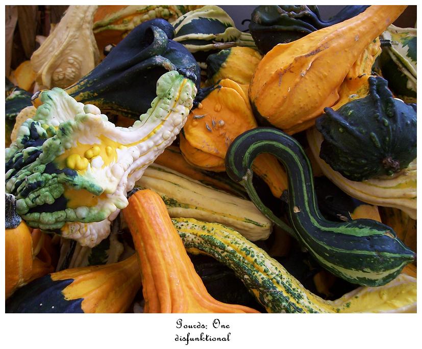 Gourds I