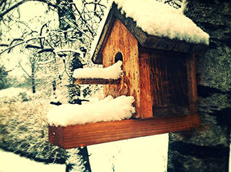 Frosty Birdhouse