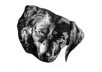 Observer Boykisser pfp by Readytest on DeviantArt