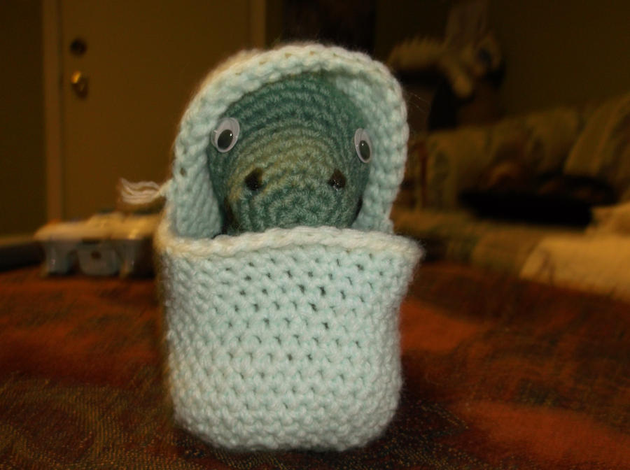 Crochet Dino Baby Egg