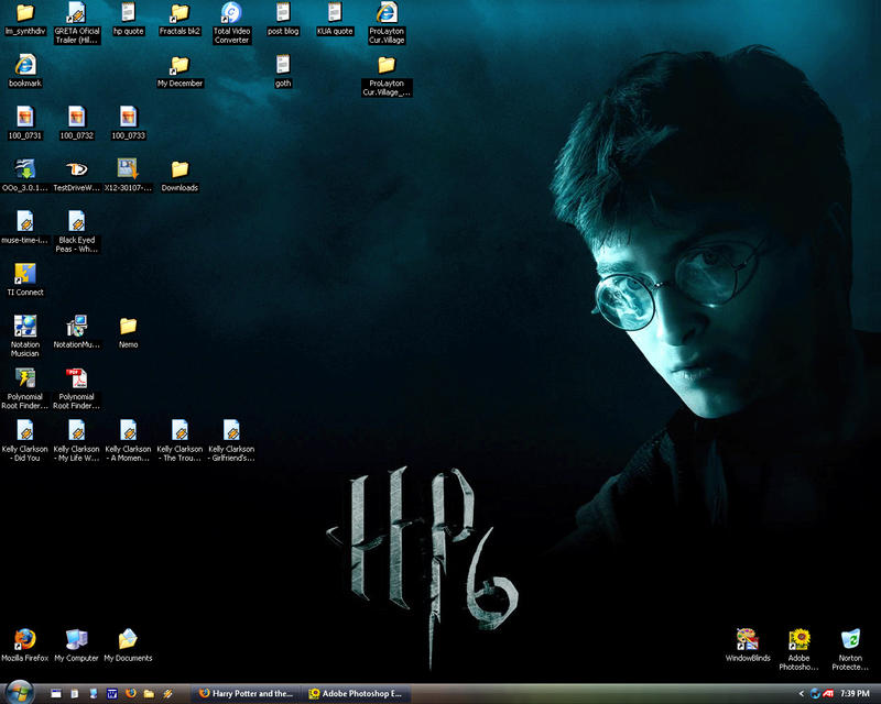 Harry Potter HBP Screenshot