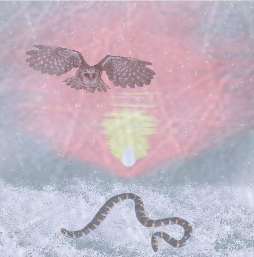 Winter Solstice 2014 by rainbowgryphon