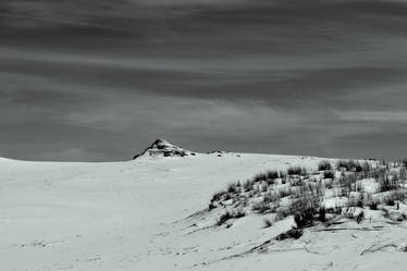 sand dune