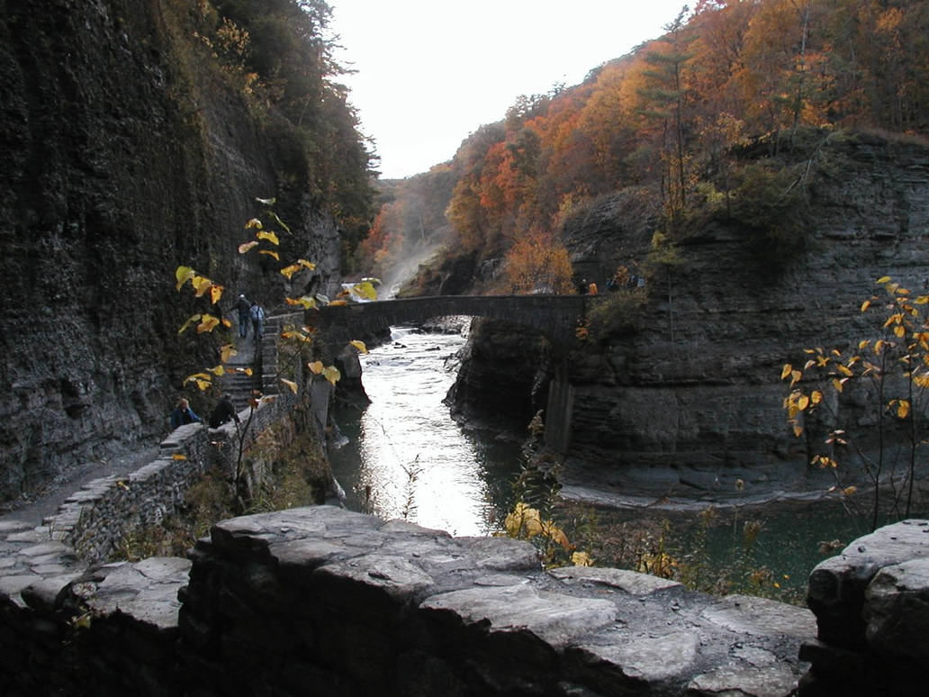 Footbridge in the gorge