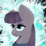 Maud Pie