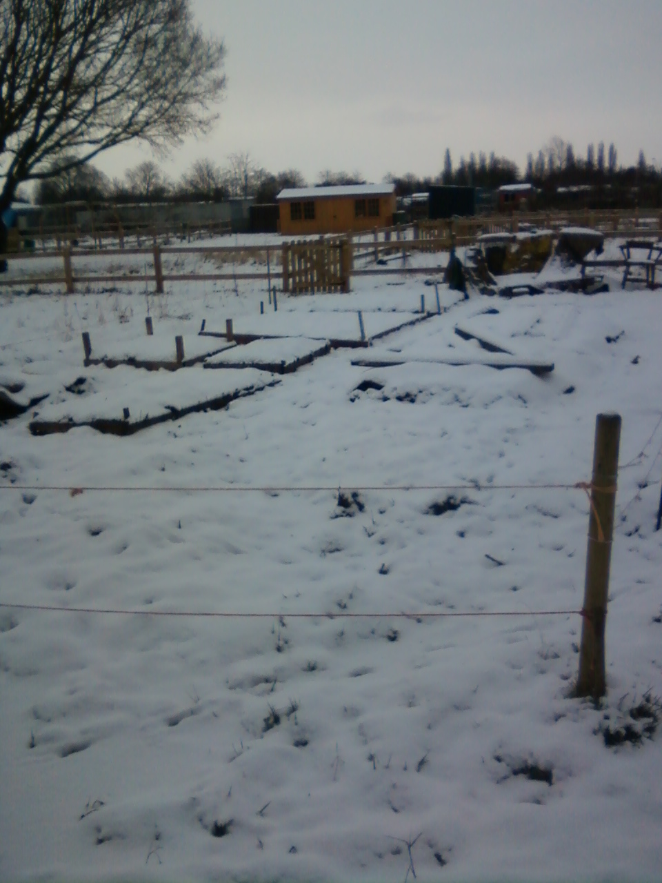 allotment23