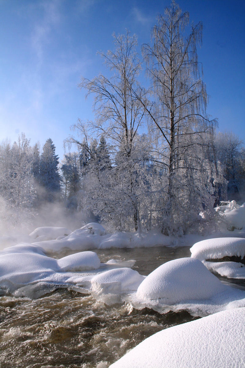 Kuusaankoski in Winter II