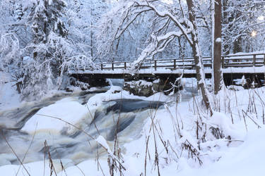 Winter by the mill