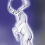 White Stag