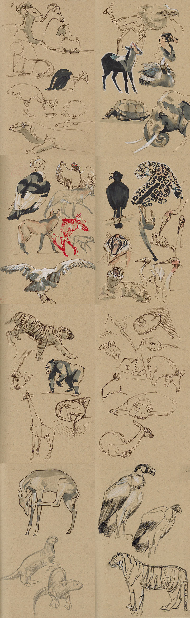 zoo sketchdump2