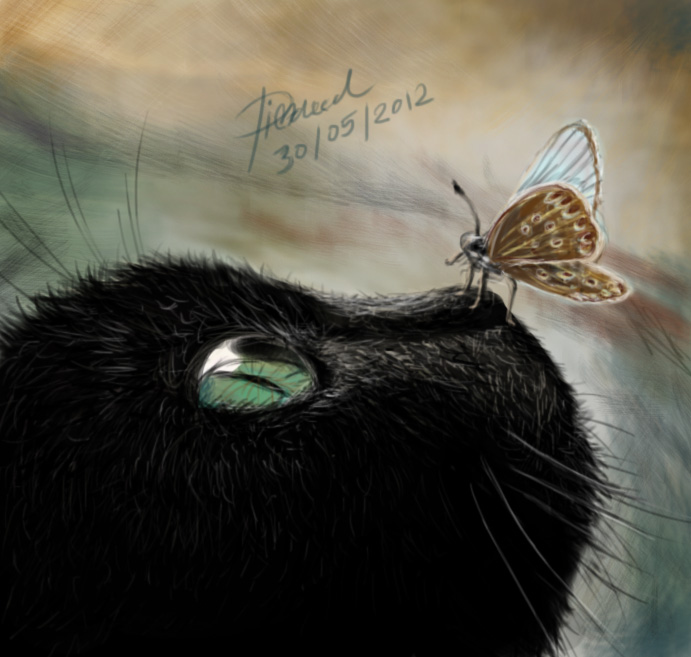 A butterfly on cat's nose