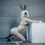 Bunny 2b as Easter present
