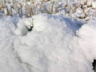 snow, snow mound oct 29th 85