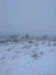 snowy fields -fog- 76