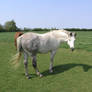 darcey 3