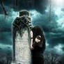 My Sweet Abandon