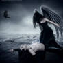 Curse of Butterflies