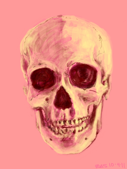 pink skull 10 04 11