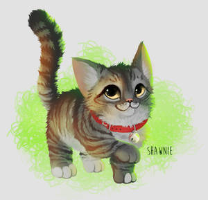Commission - Shawnie by NezuPanda Commission - Shawnie by NezuPanda