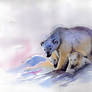 Watercolor and ink, bear family.