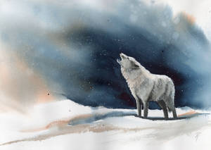 Watercolor and Ink, Arctic Wolf