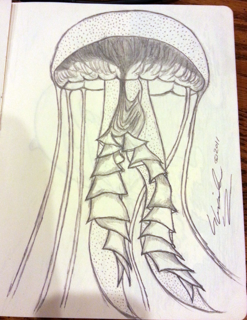 Jelly Fish