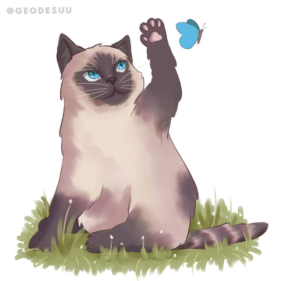 Simese cat by geodesuuart on DeviantArt