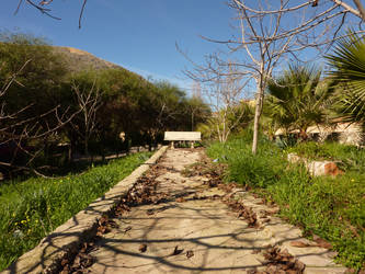 The Lonely Bench