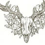 Deerskull