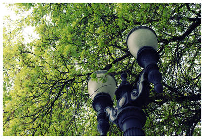 Portland Streetlamp