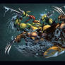 Raph VS Wolverine