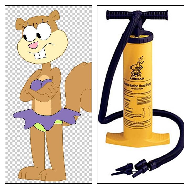 Sandy cheecks's body inflation by inflationfan1997 on DeviantArt