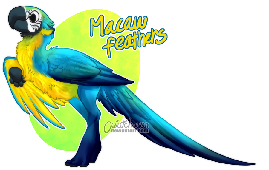 Custom Byubuu - Macaw Feathers