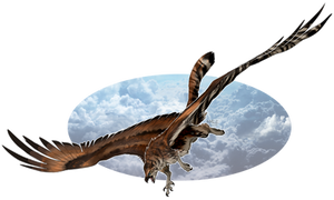 [COM] - Sky Raptor