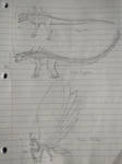 IMG_20250211_172333966.jpg